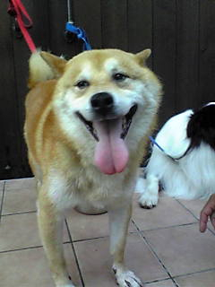 Ｓmile！！