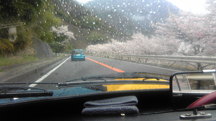 雨でよかった。
