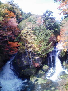 紅葉の楽しみ