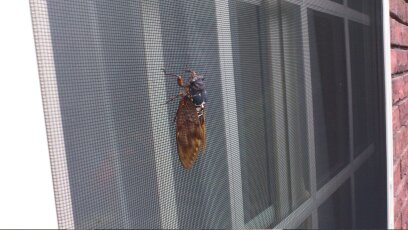 まだ夏は終わらないゼ！