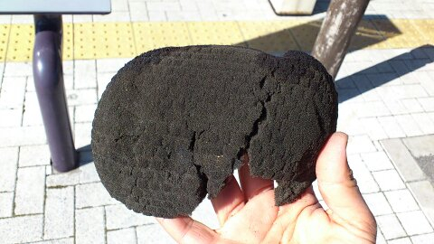 原因はコイツだ!!!