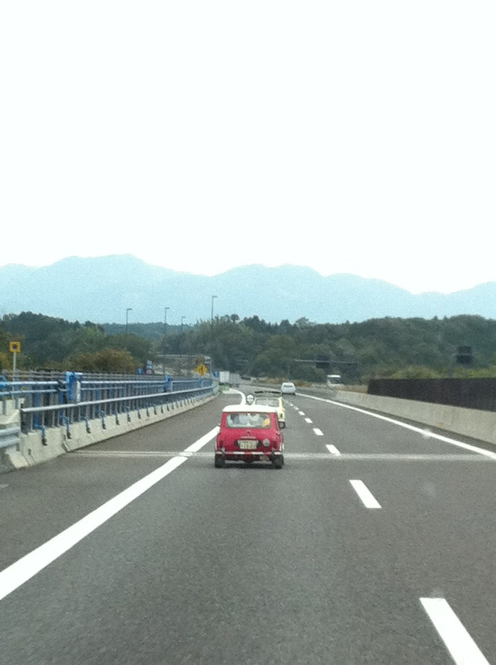 頑張ってますよ〜
