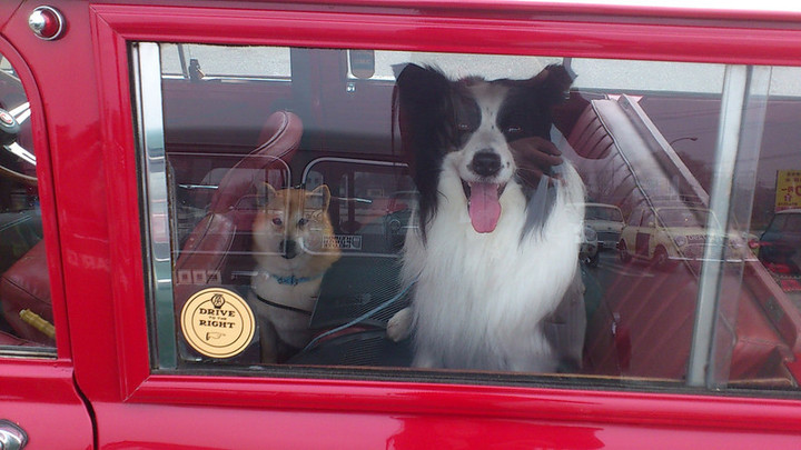 おはようございます(^^)