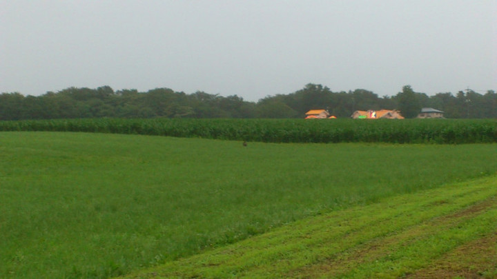 小さくて見えない…