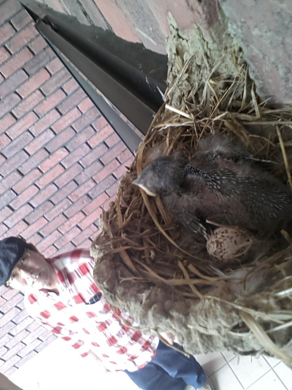 ささやかな楽しみ