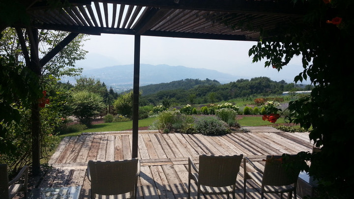 やっぱり高原が好き