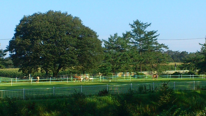 早起きは三文の徳