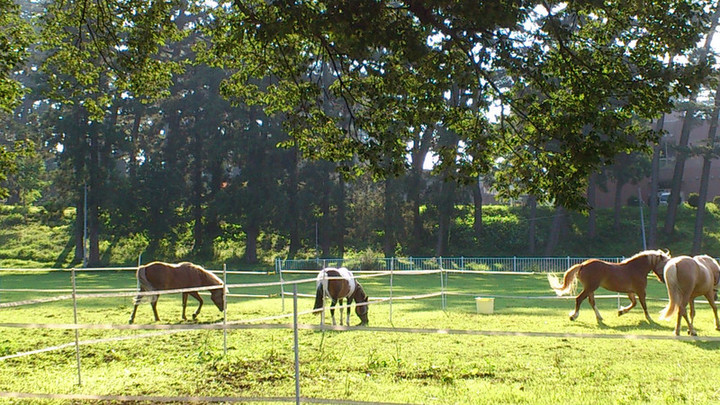続早起きは三文の徳