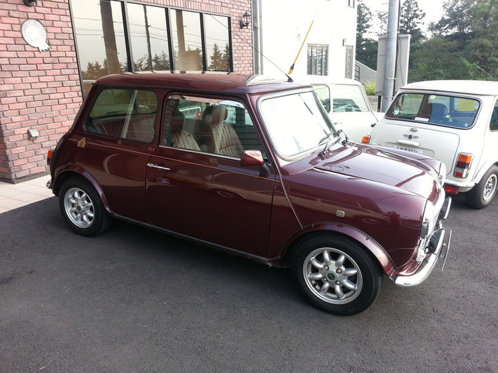 マルベリーレッド！