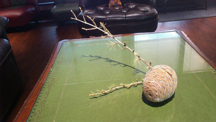 飛んできたり落ちてきたり