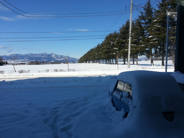 ミニダルマか？