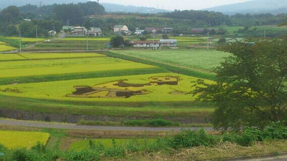 田んぼだよ