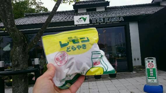 お早うございます