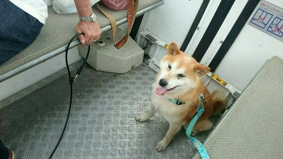 涼しかった！