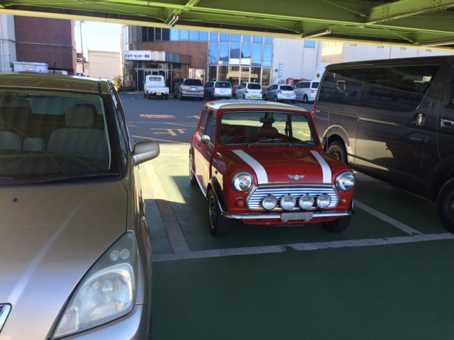 シーズン的な？