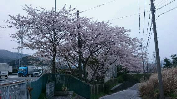 まだまだ西へ