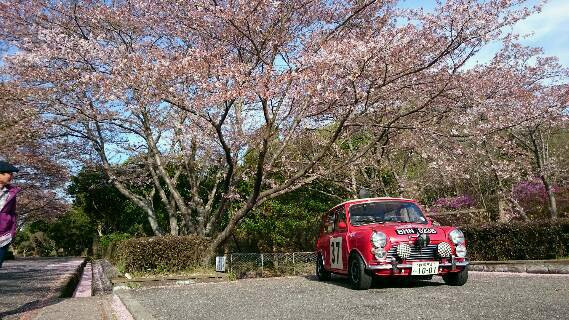 おはようございます