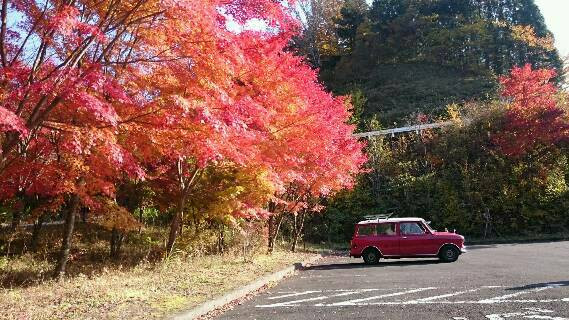 紅がすき