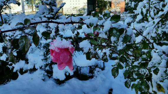 雪後晴れ