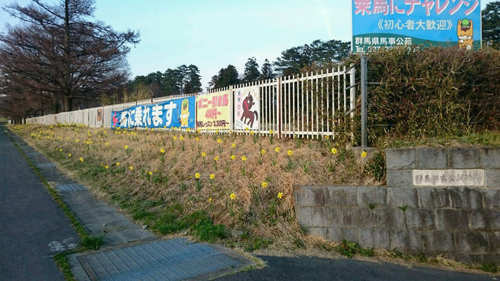 春の訪れ