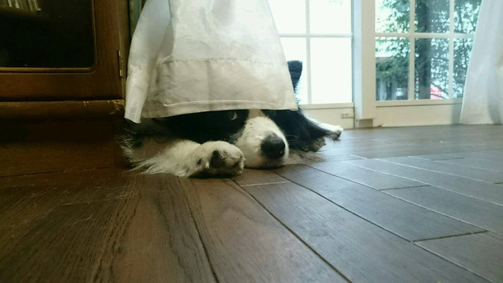ミニ屋のスネ夫