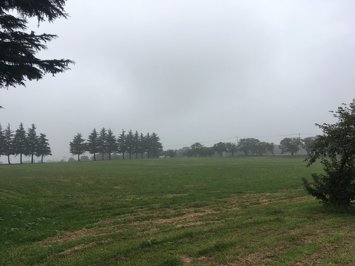 イングリッシュウェザー