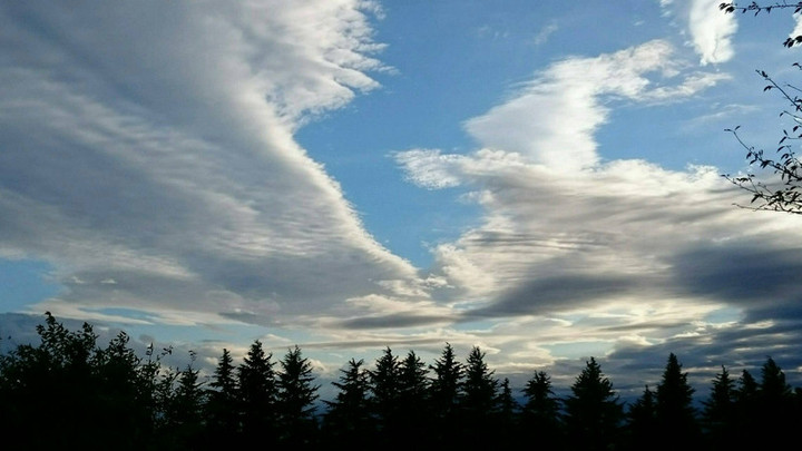 秋空