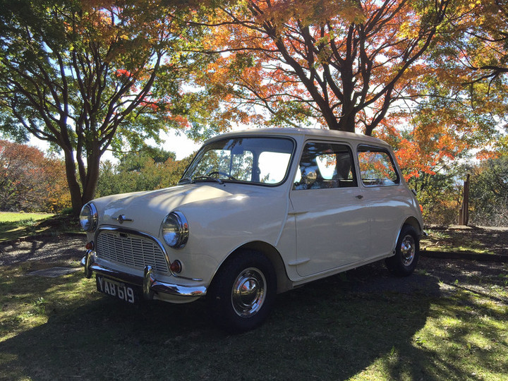 紅葉にはえる…