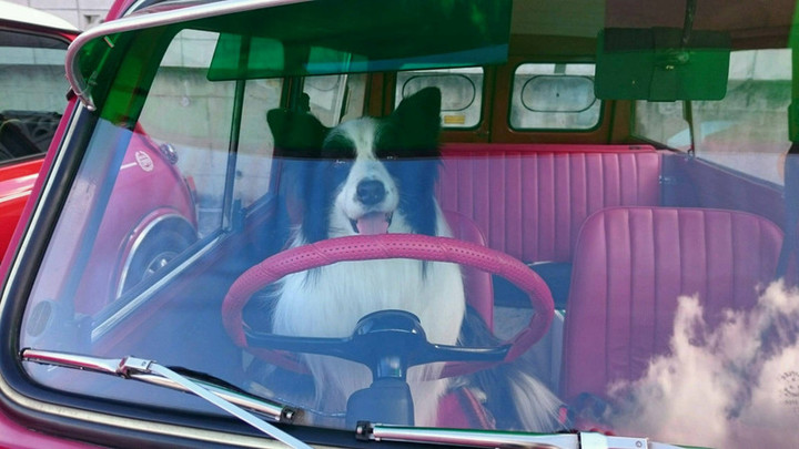無免許運転
