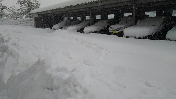 雪やこんこん