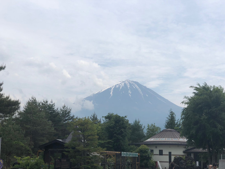 ふっじさ〜ん