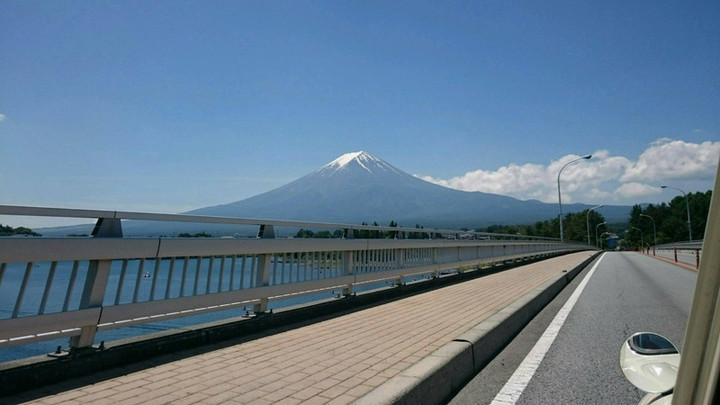 見えた！