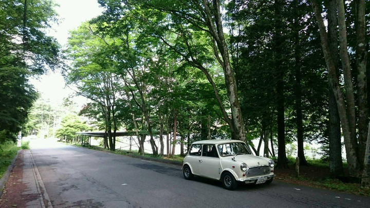 涼を求めて…