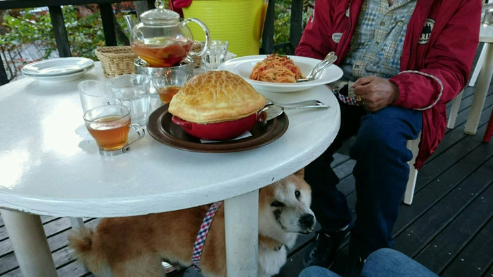 ビーフシチュー