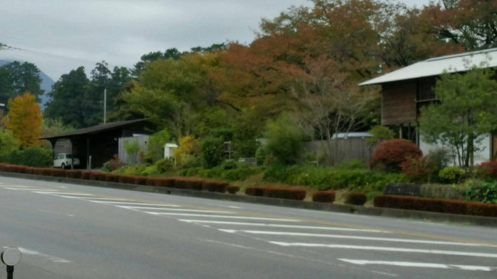 隣人のミニ