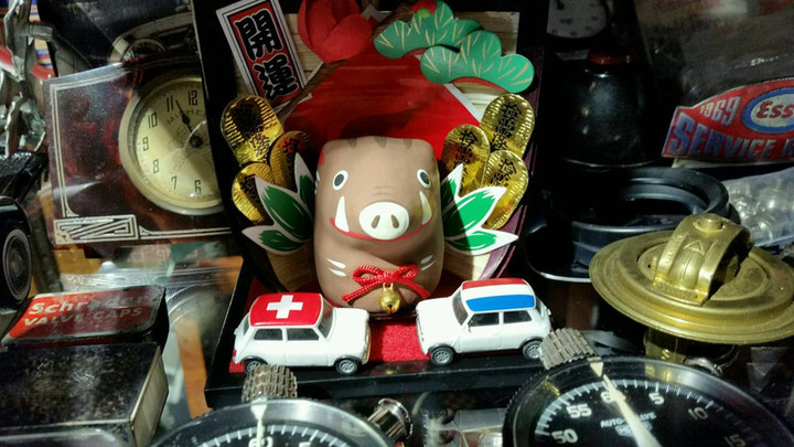 イノシシが好き～