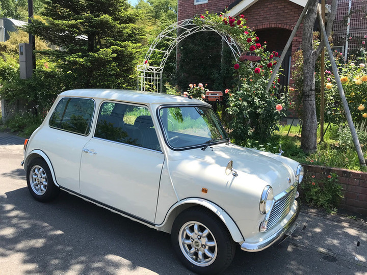 キレイになったでしょ？