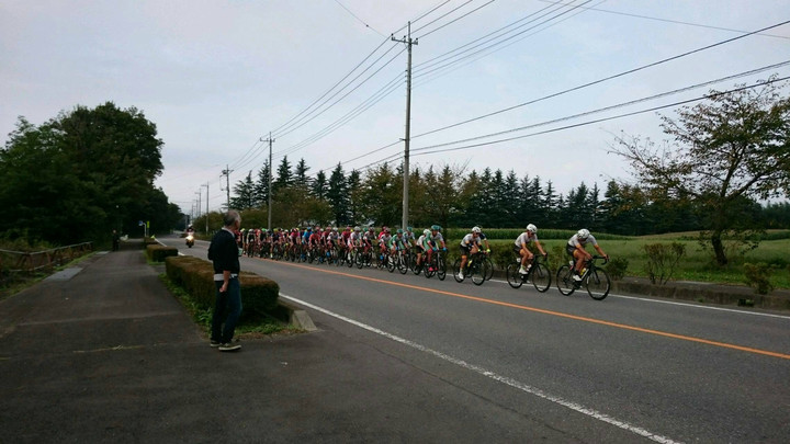 今年も始まりました！