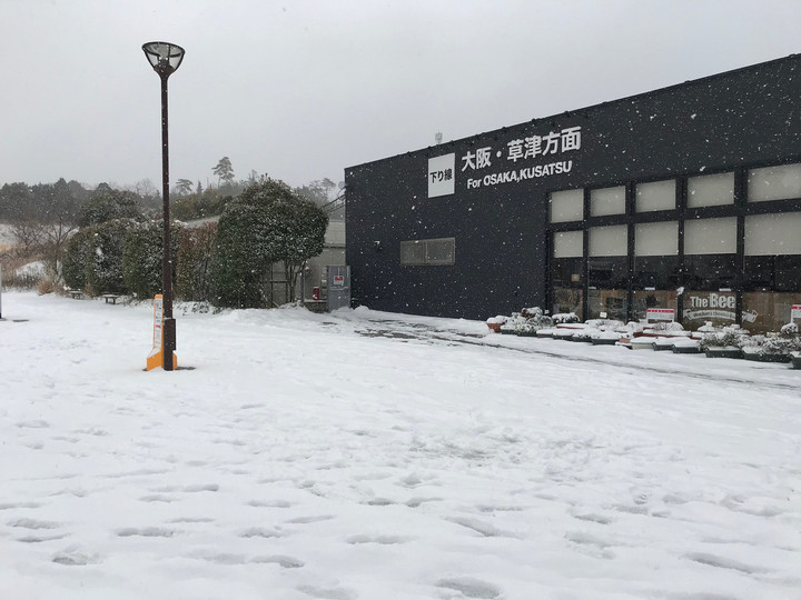 雪です。