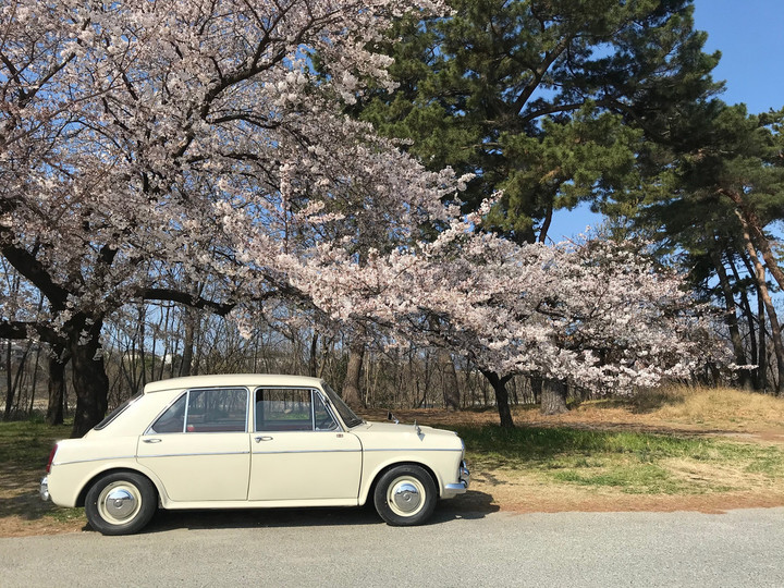 最終チェック中