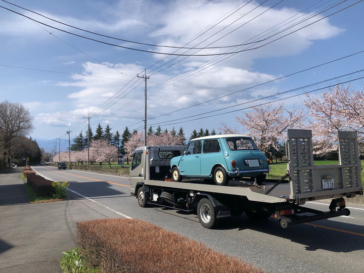 桜とミニと青空と