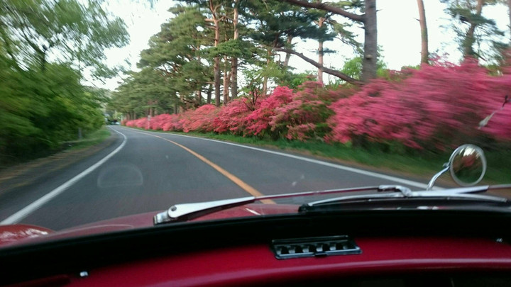 ミニの車窓から…