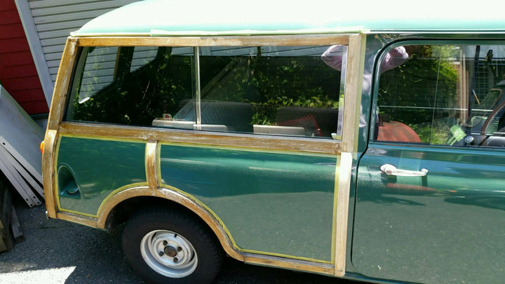 絶好のお手入れ日和