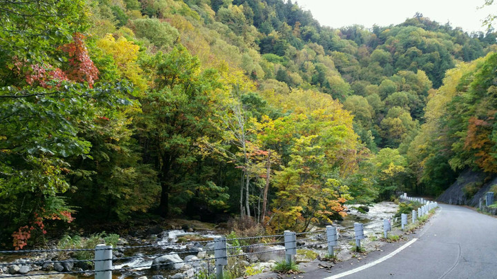 ちょっと早かった…