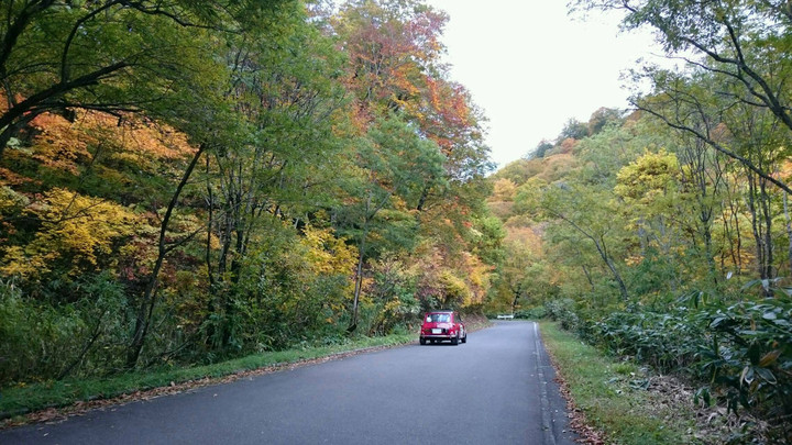 ちょっと早かった…