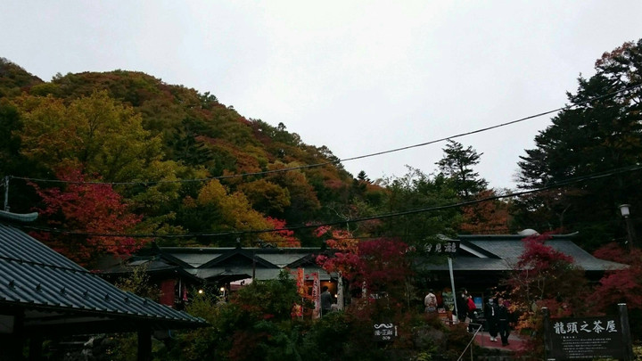 急に寒くなってきたので