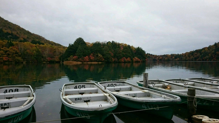 急に寒くなってきたので