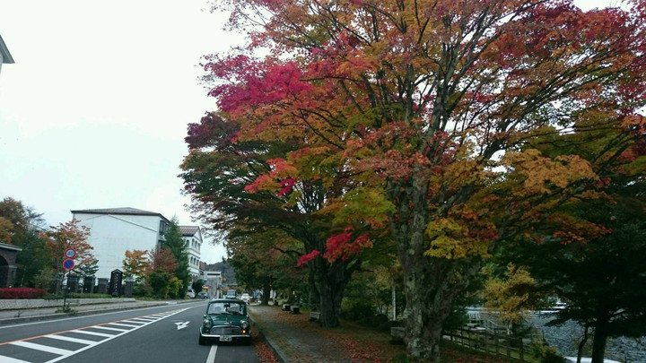 急に寒くなってきたので
