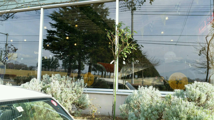 キレイになりました