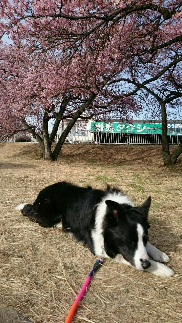 春って